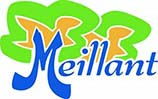 logo ville meillant